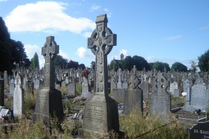 limerick burial records go online
